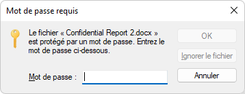 L'Explorateur Windows demande le mot de passe du fichier Zip sécurisé et crypté lors de son ouverture